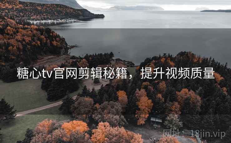 糖心tv官网剪辑秘籍,提升视频质量